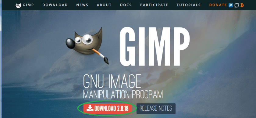 gimp